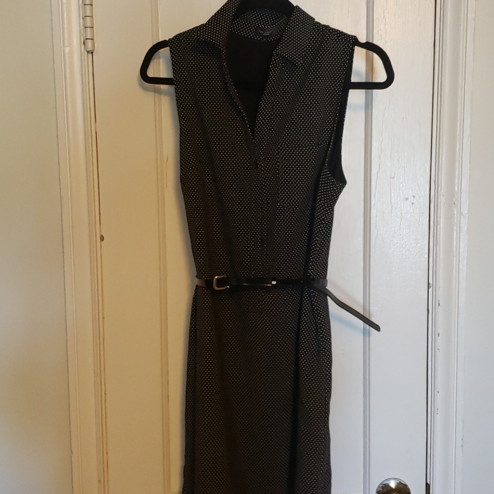 The Limited Ashton dress